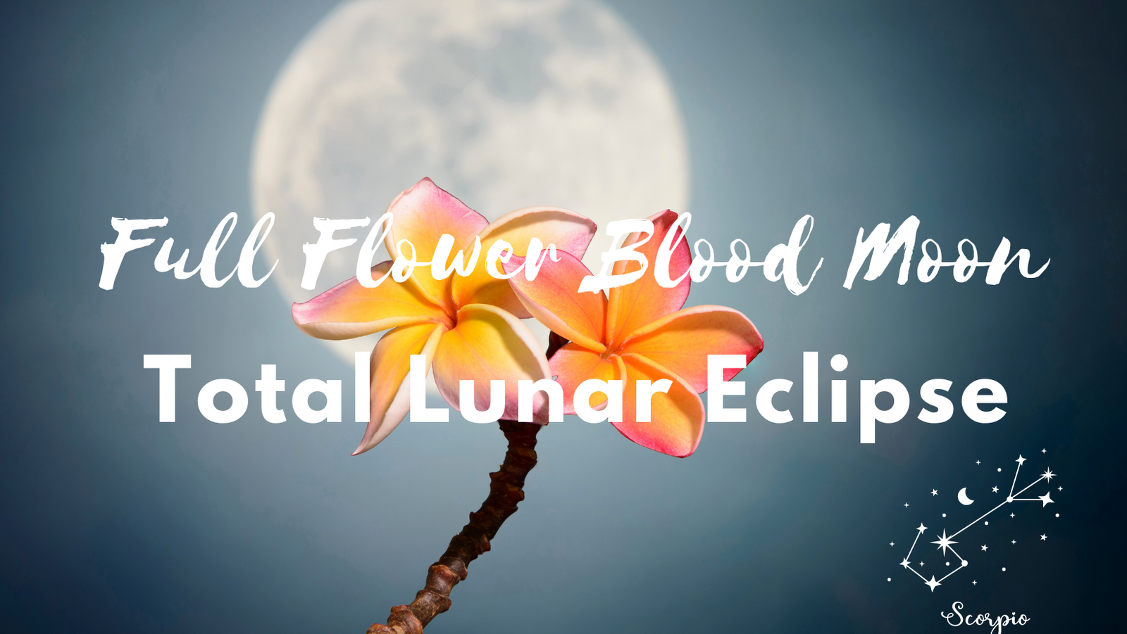 Full Flower Blood Moon | Total Lunar Eclipse in Scorpio