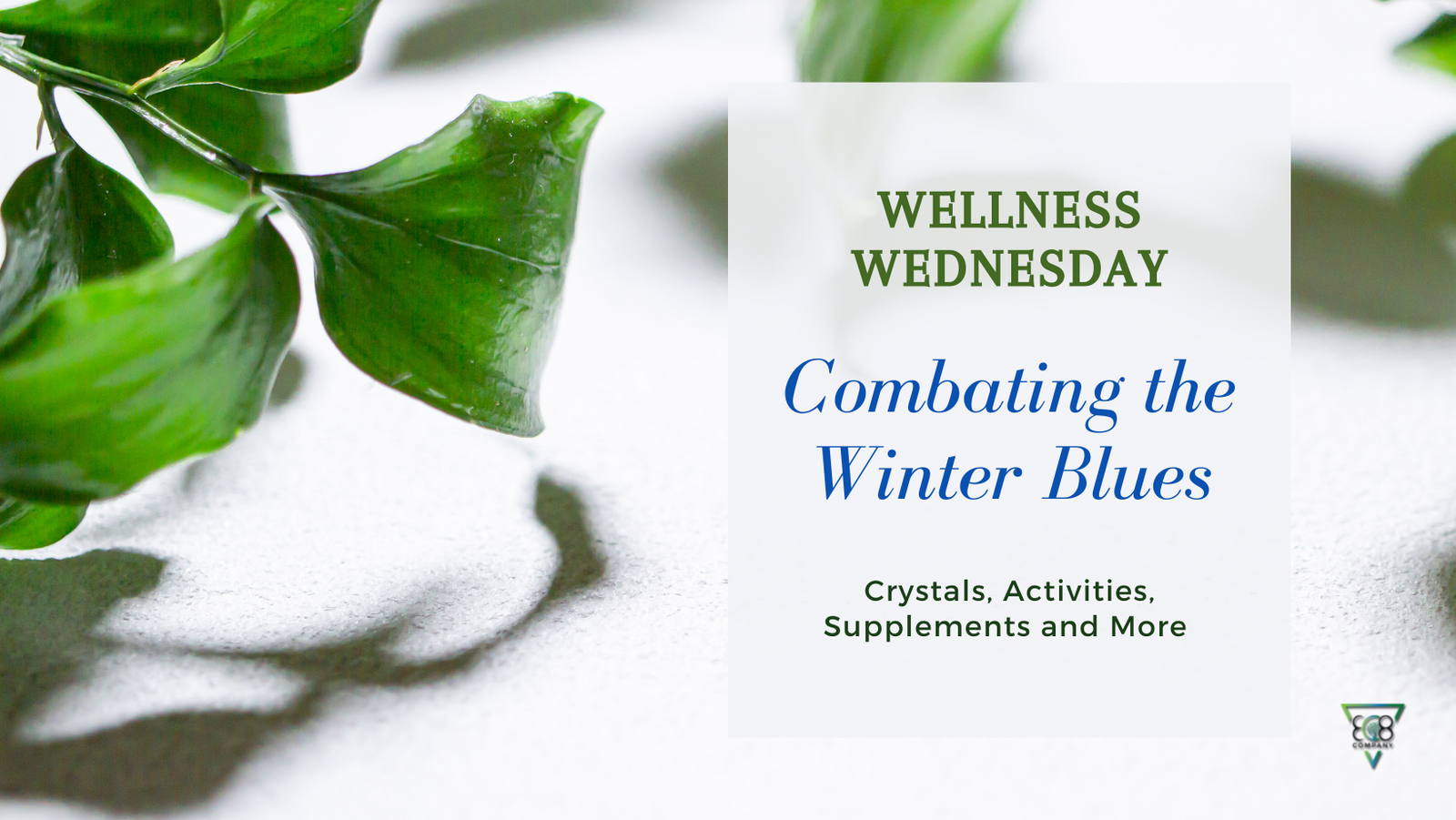 Combating the Winter Blues