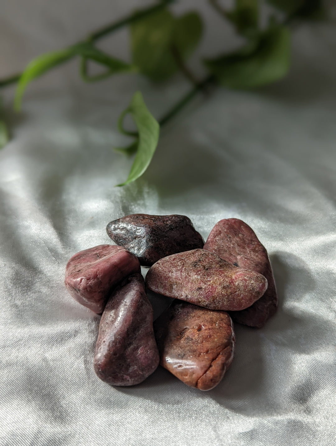 Rhodonite