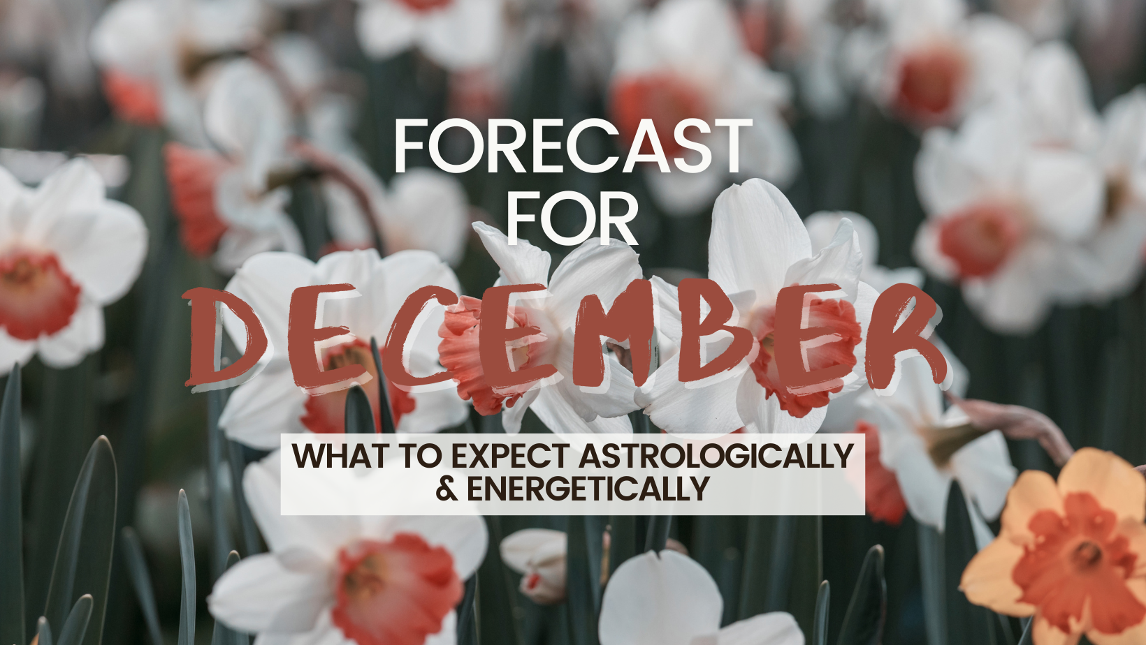 December Forecast