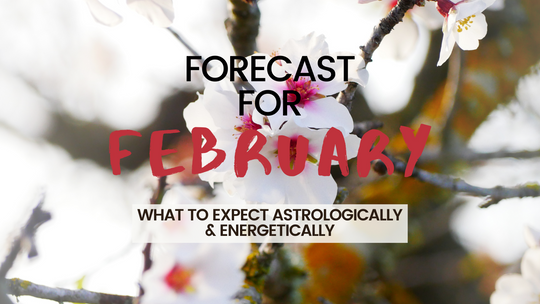 February Forecast