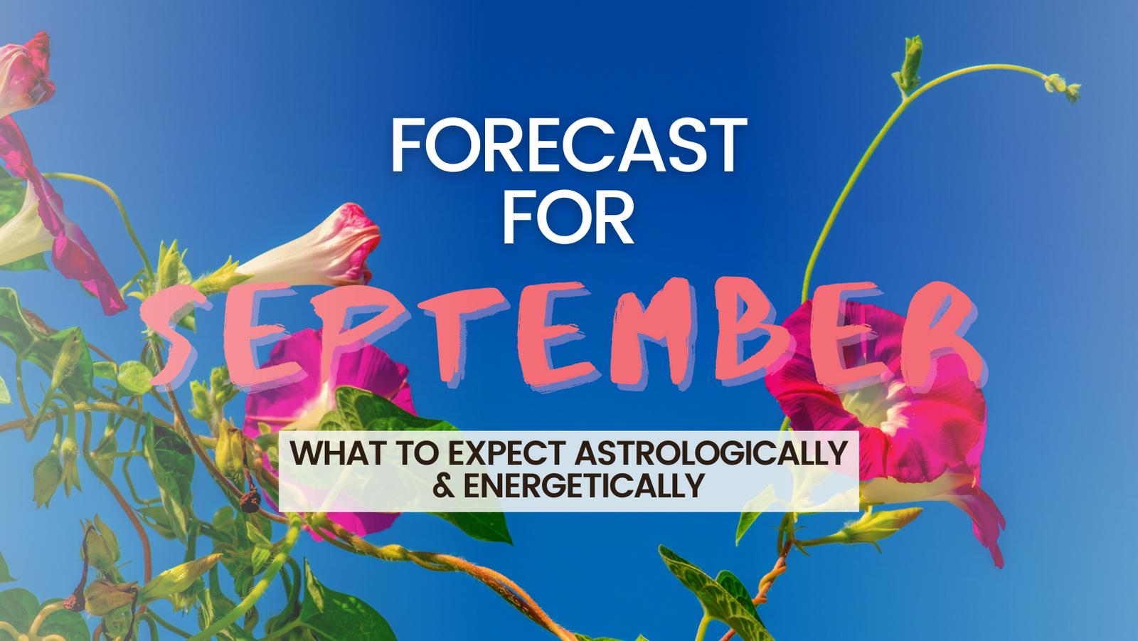 September Forecast