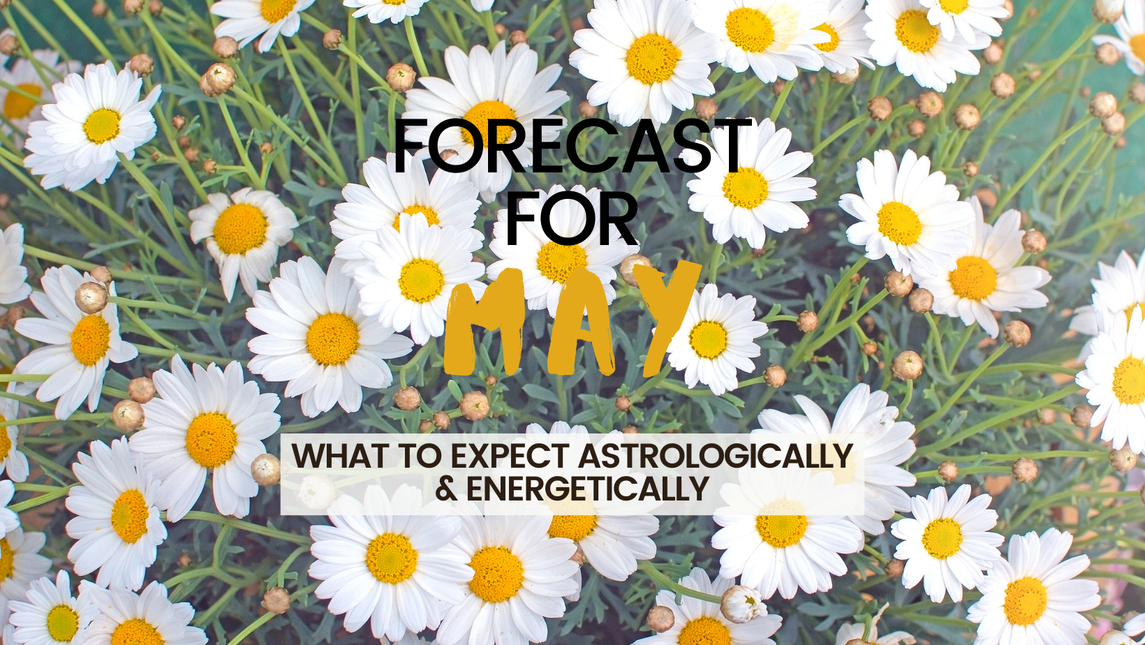 May Forecast