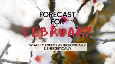 February Forecast