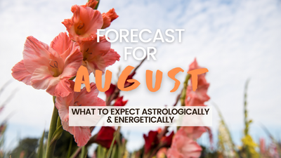 August Forecast