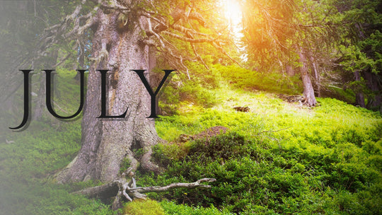 July Energetic & Astrological Forecast