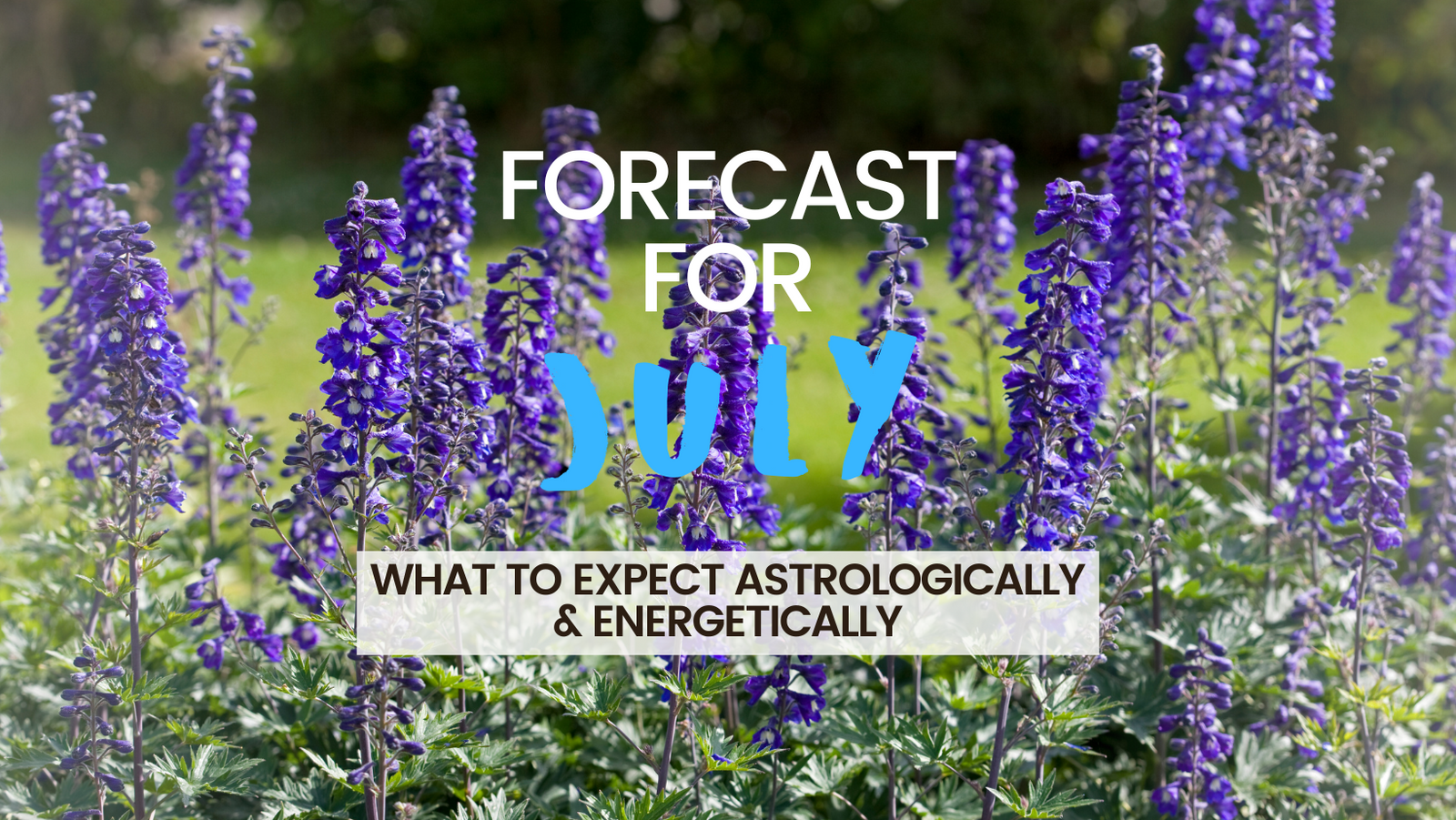 July Forecast