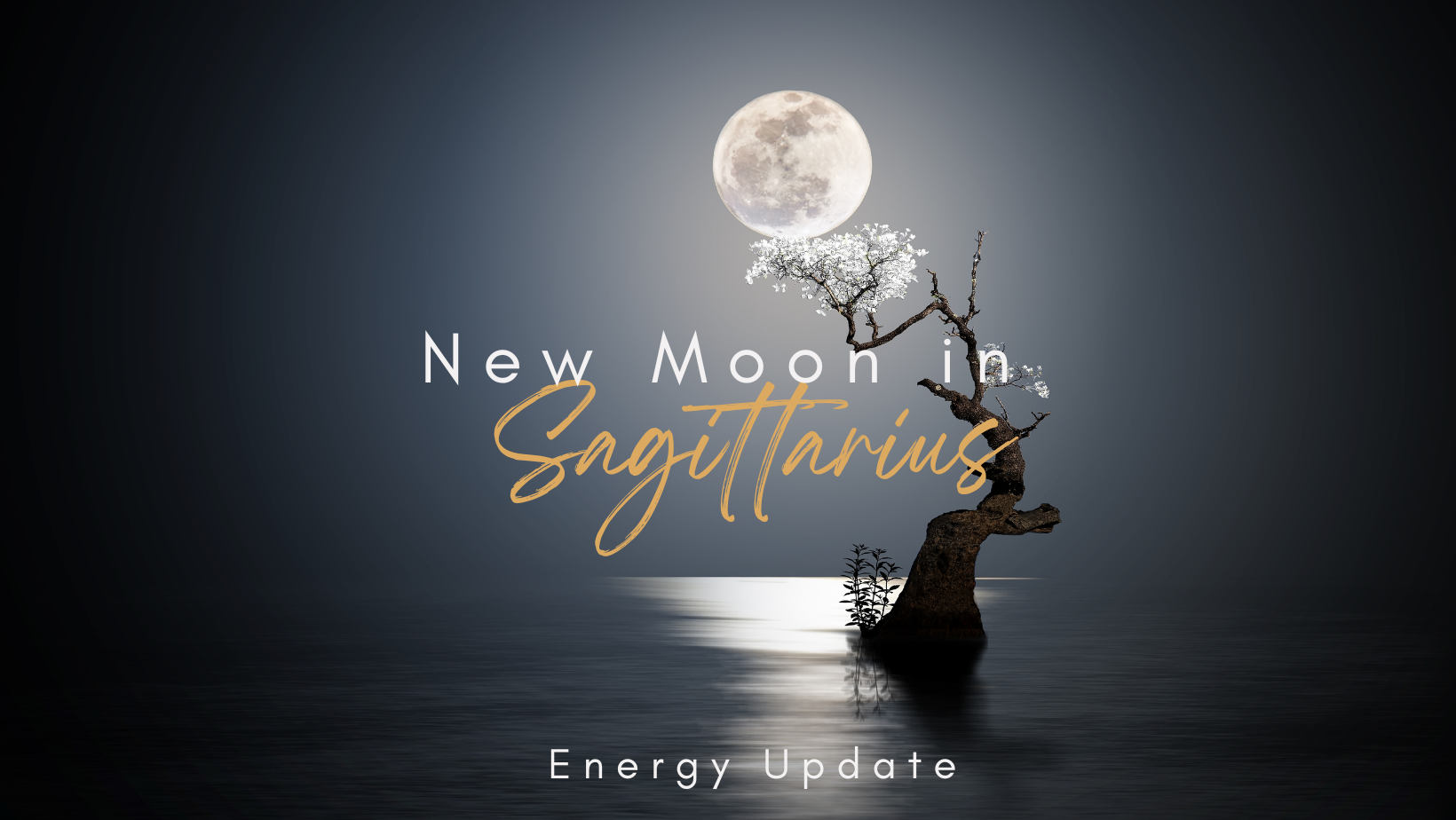 New Moon in Sagittarius