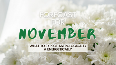 November Forecast