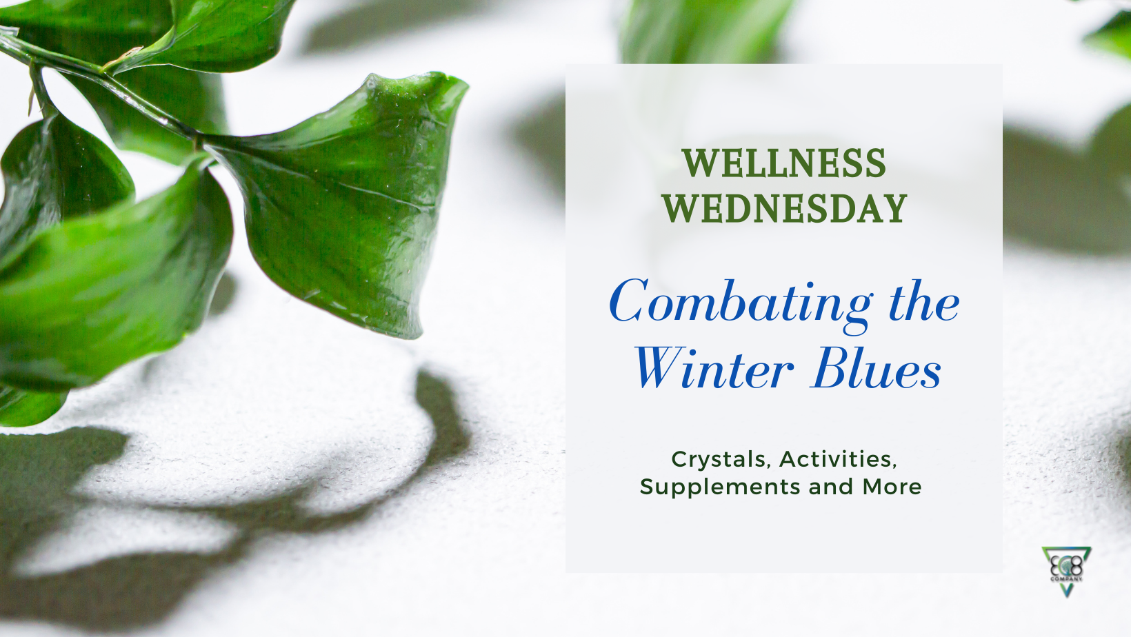 Combating the Winter Blues