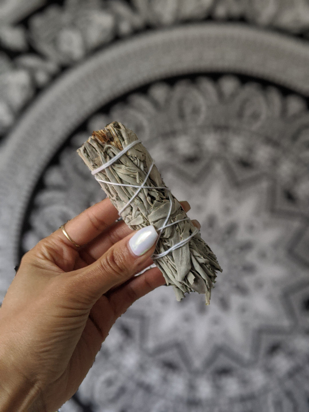 White Sage - 4"