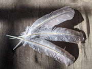 Triple Moon Printed Smudge Feather