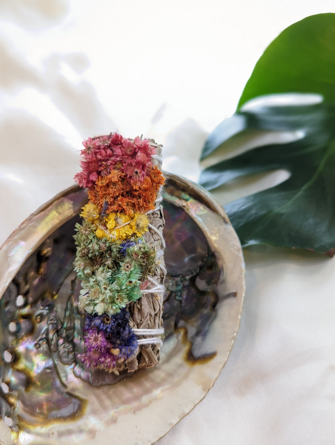 7 Chakra White Sage - 4"