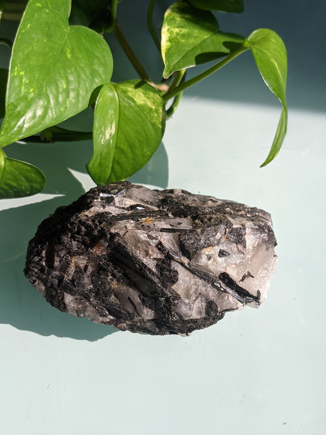 Black Tourmaline in Quartz 808 Co