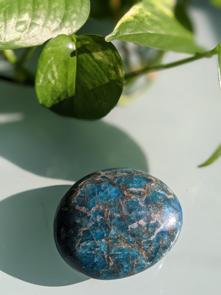 Blue Apatite Palm Stone