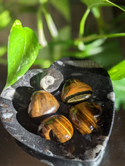 Tigers Eye Hearts