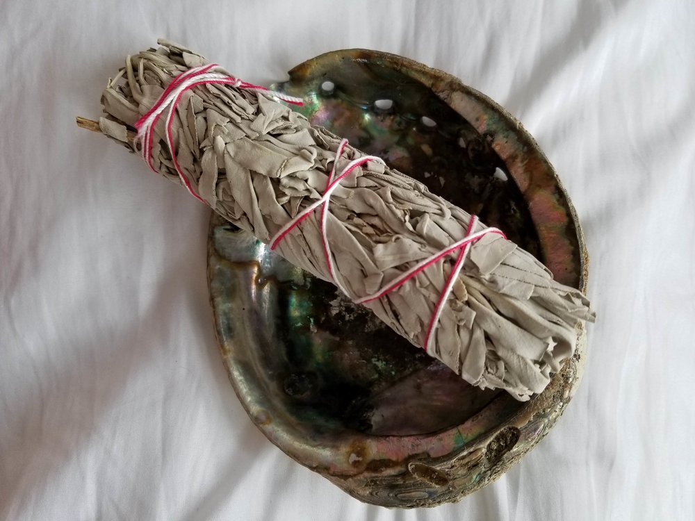 White Sage - 9"