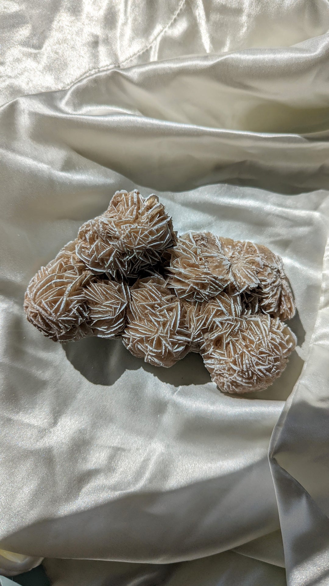 Desert Rose Selenite