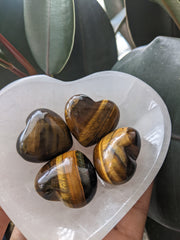 Tigers Eye Hearts