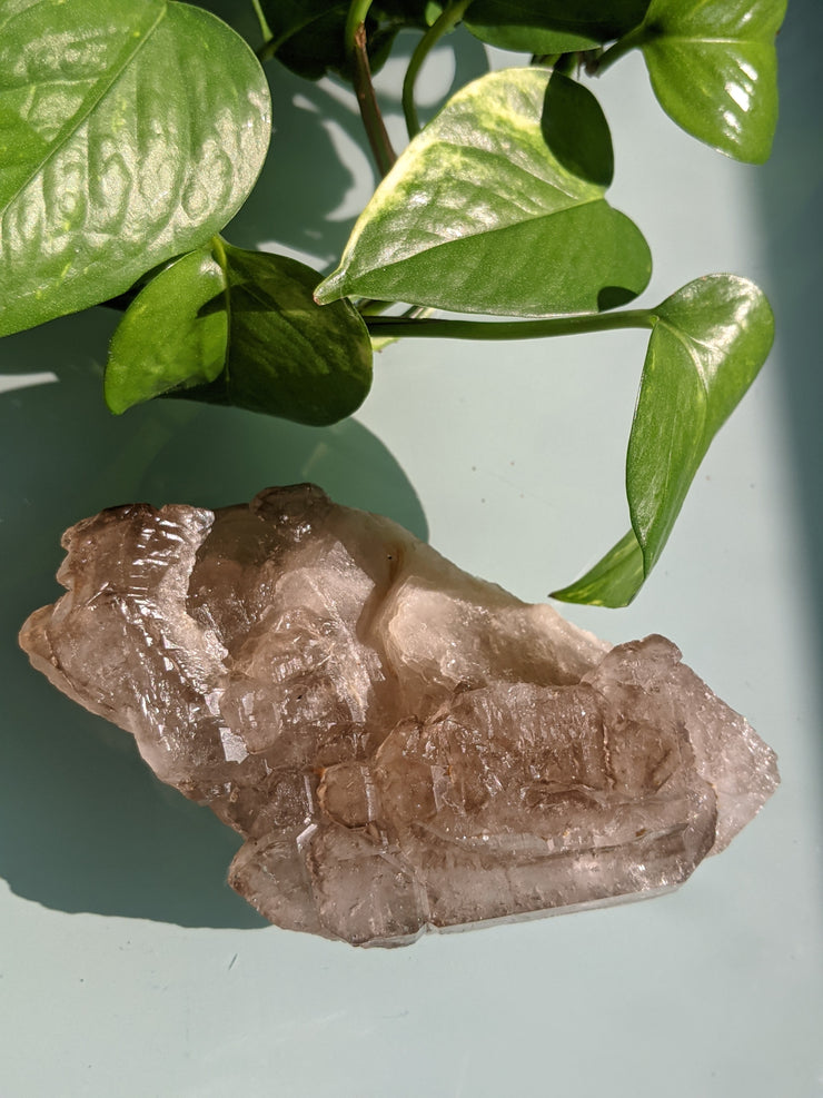 Smoky Elestial Quartz