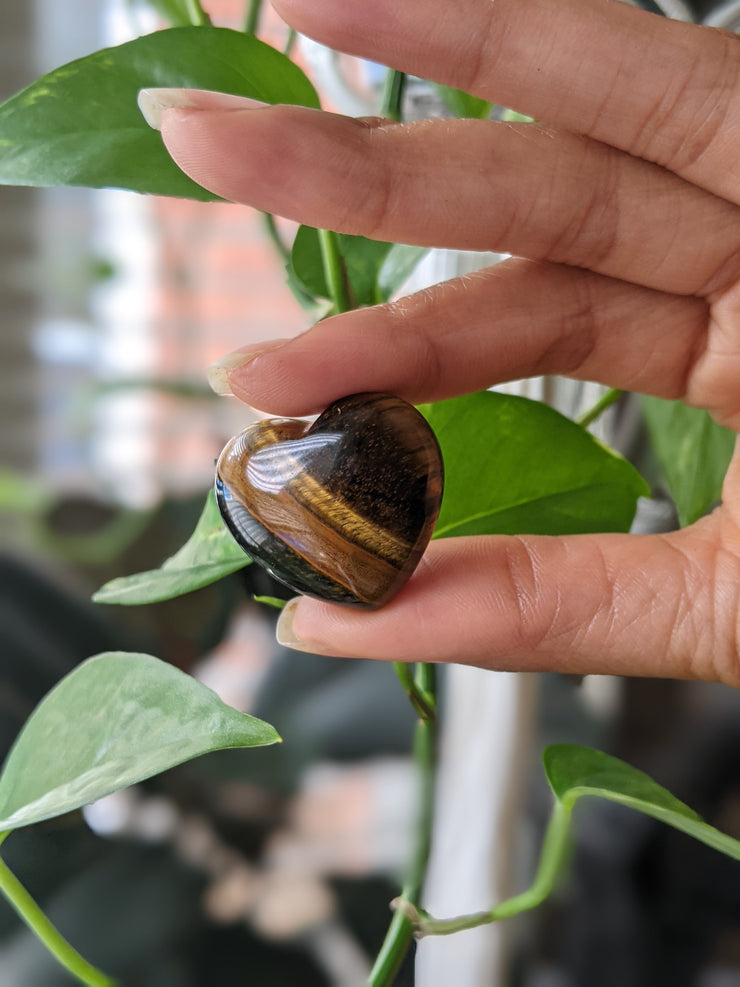 Tigers Eye Hearts