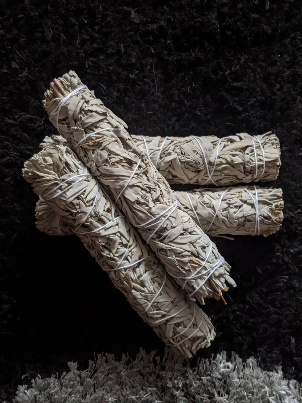White Sage - 9"